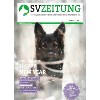 Zeitung SV enero 2017