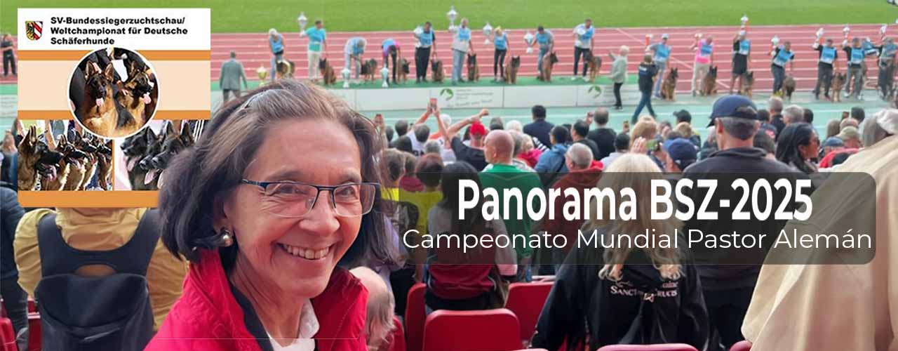 Panorama BSZ-2025