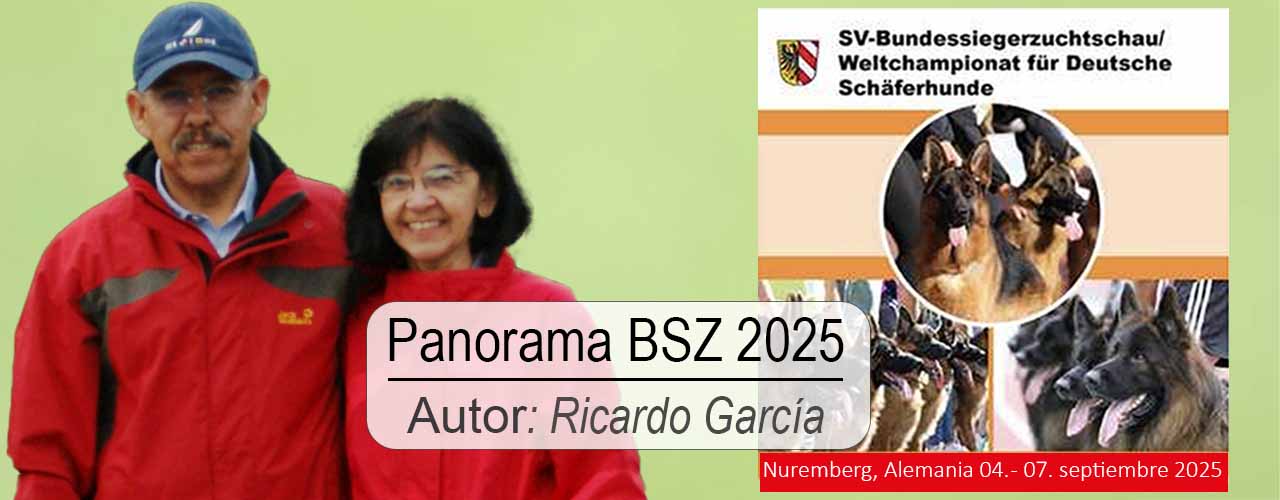 Panorama BSZS 2025