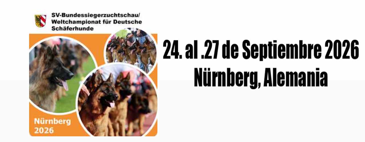 Catálogo BSZ 2026
