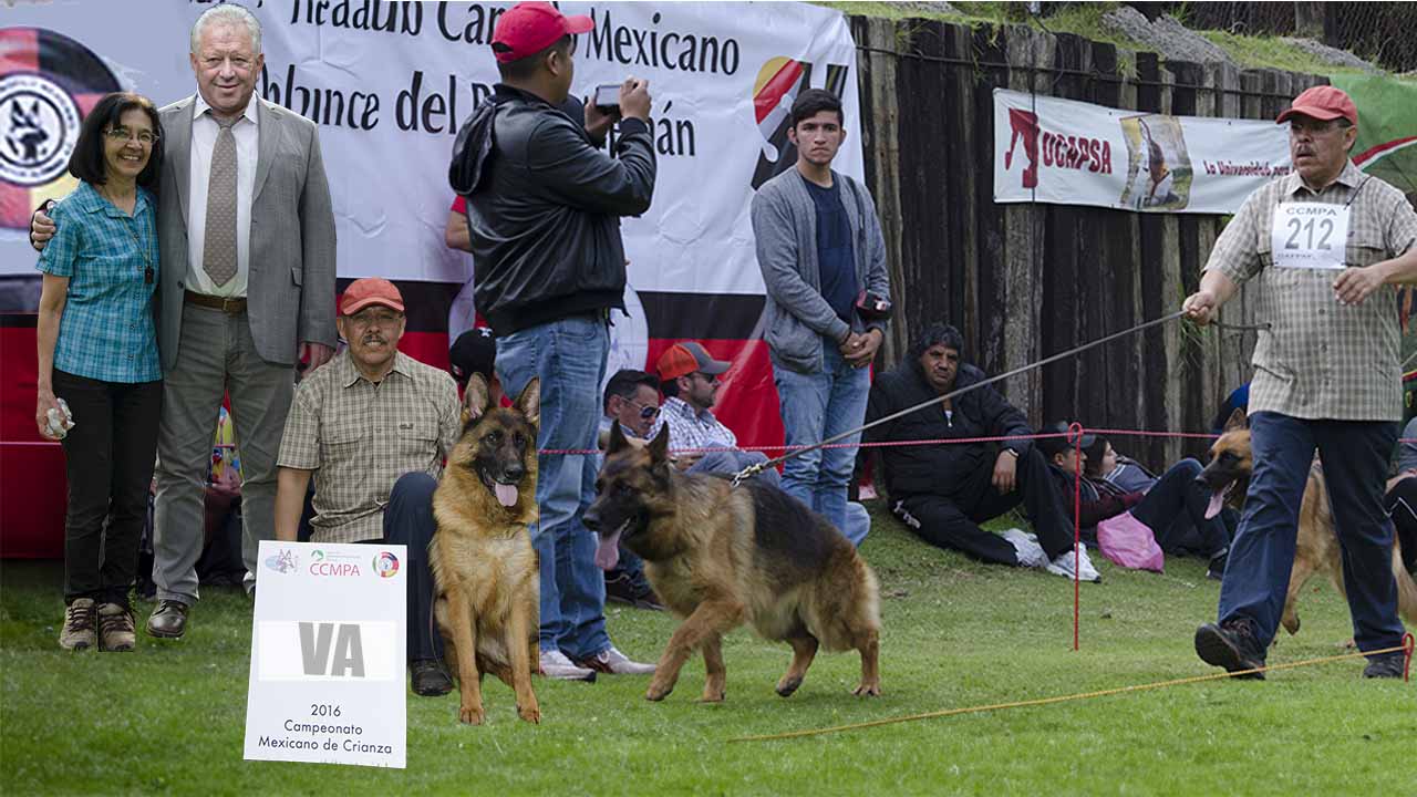 Eniac Garikhaus - VA3