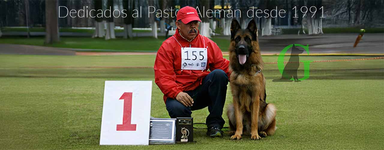 Perros Garikhaus