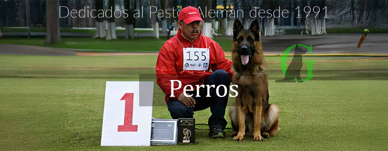 Perros Garikhaus