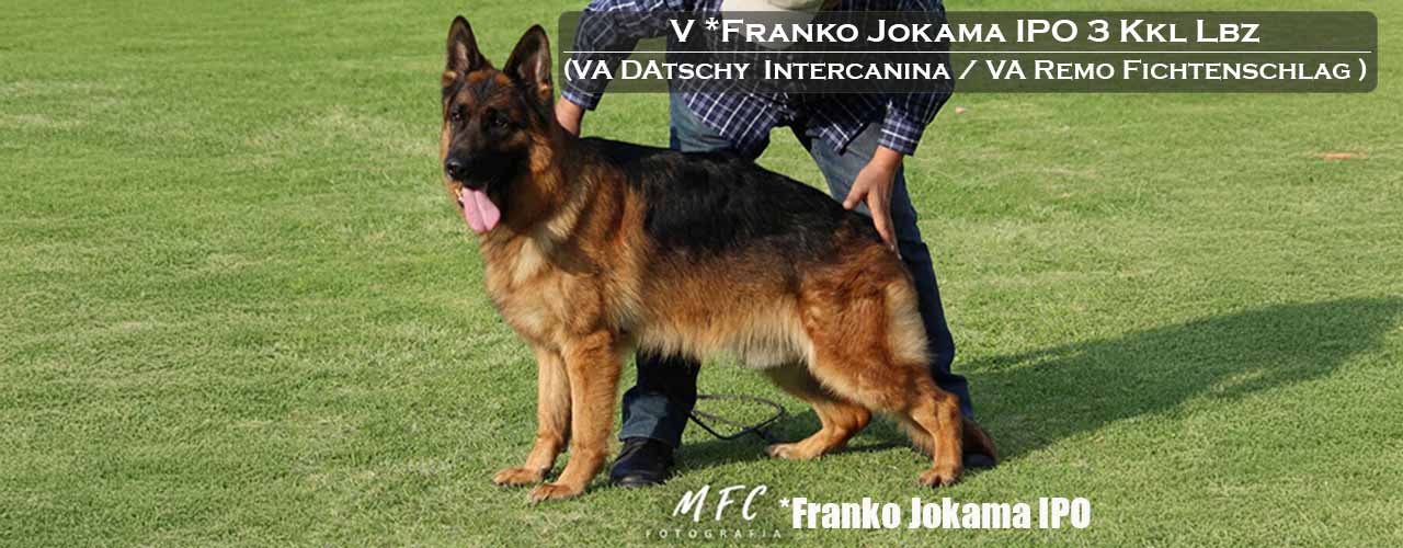 Franko von Jokama en pista