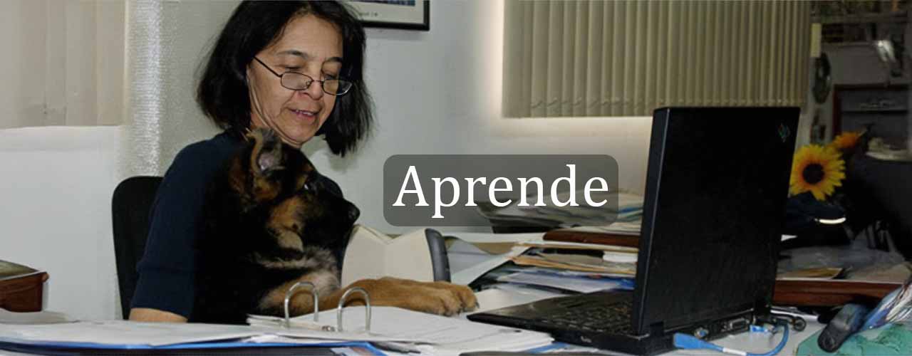 Aprenda sobre Pastor Alemán