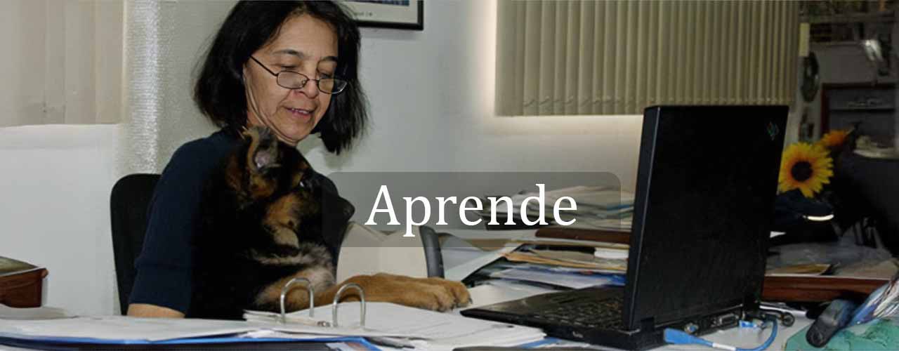 Aprende sobre la raza Pastor Alemán