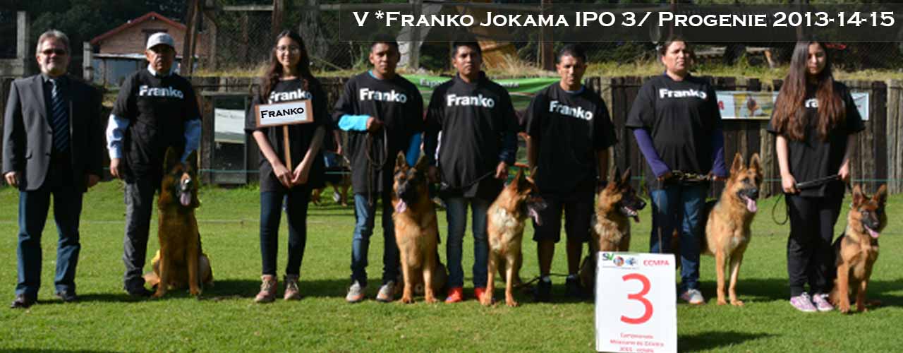 Grupo de progenie Franko vom Jokama 2015