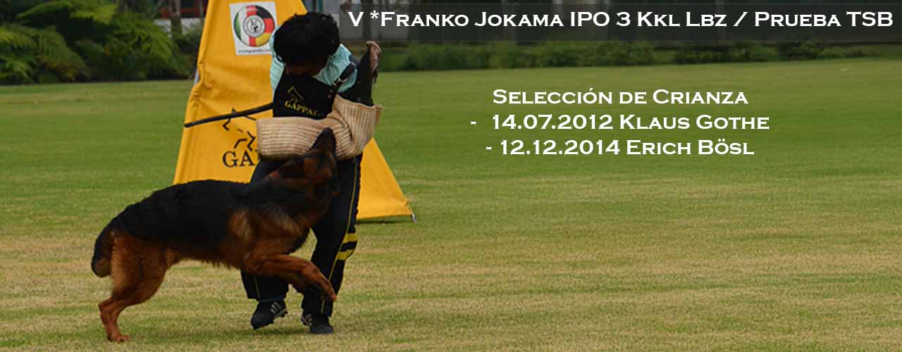 Franko von Jokama en selección LBZ
