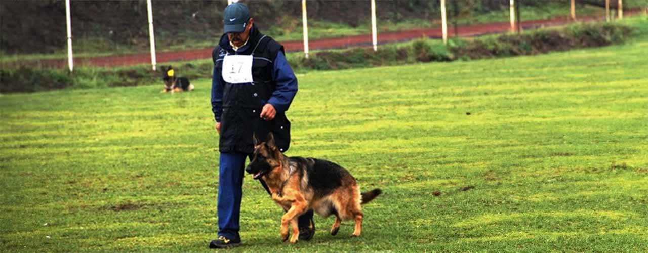 Quena vom Garikhaus – BH