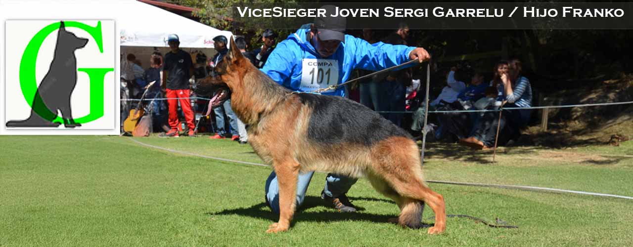 Sergi von Garrelu Sieger 2015