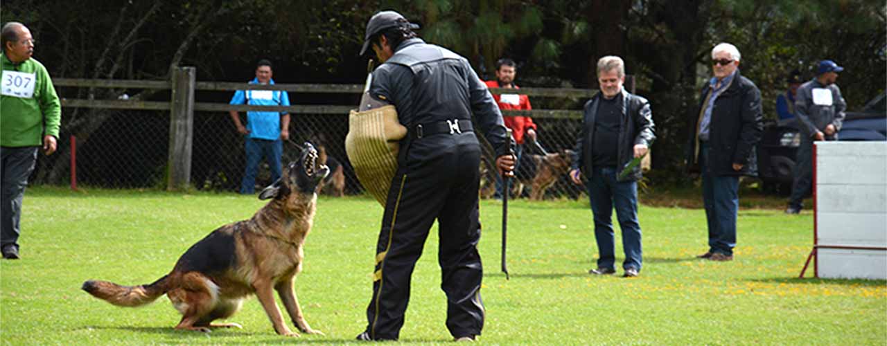 Quena vom Garikhaus – prueba TSB