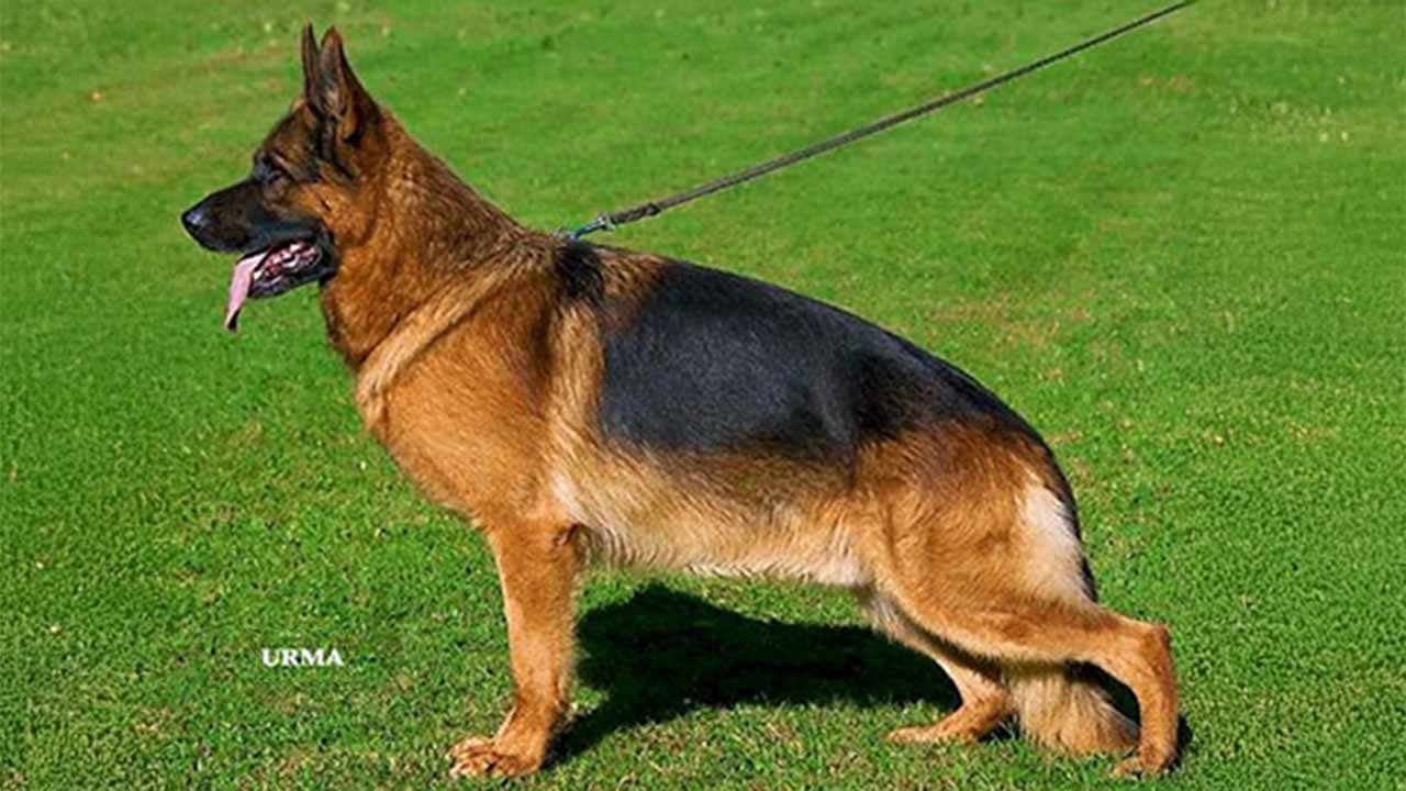 Quartz vom Garikhaus