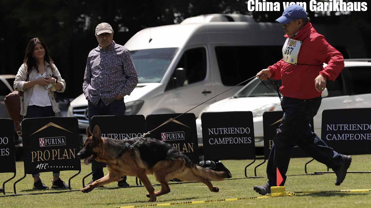 China Garikhaus exposición