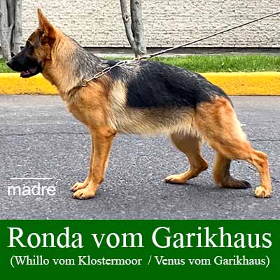 Ronda vom Garikhaus