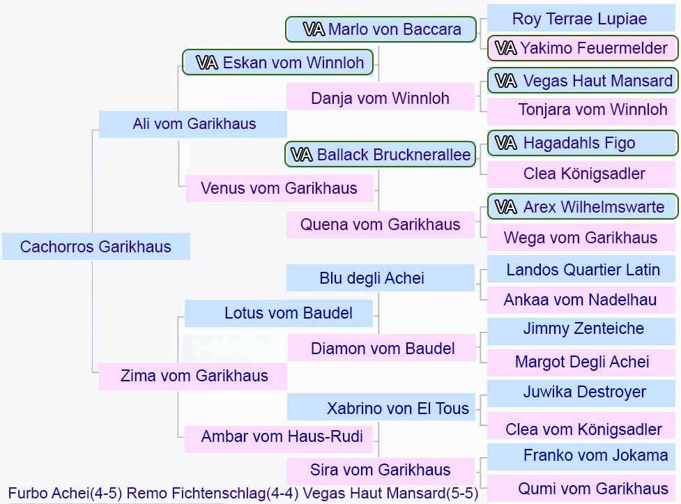Pedigrí de la camada Ali Garikhaus x Zima Garikhaus