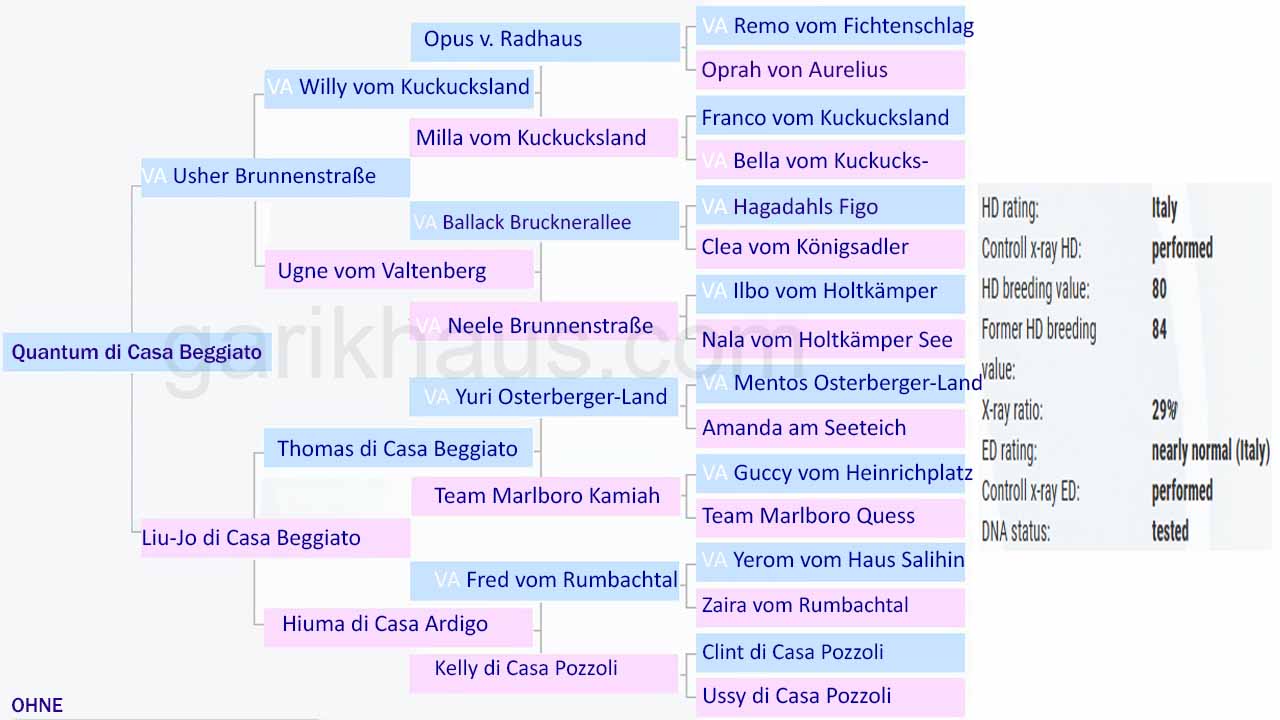V 5 Quantum di Casa Beggiato