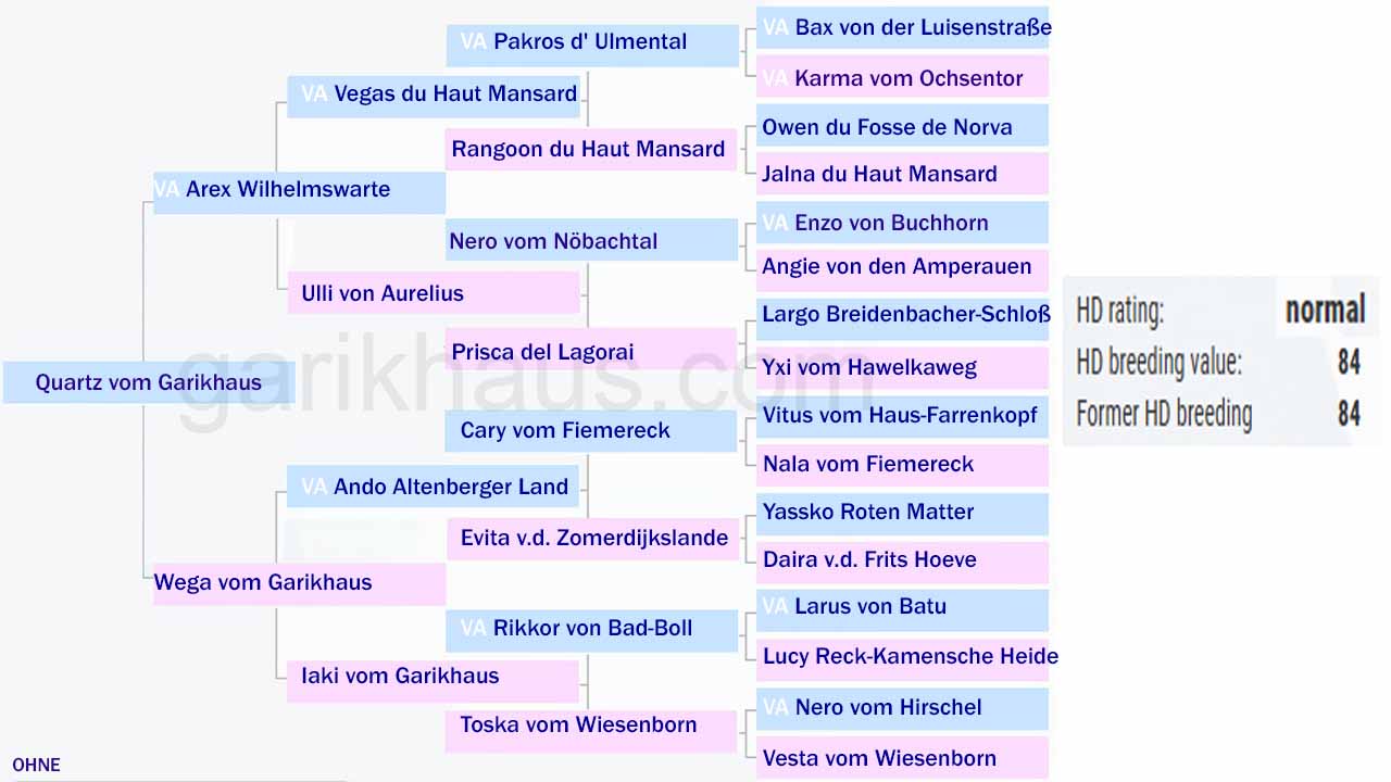 Pedigrí de Quartz vom Garikhaus